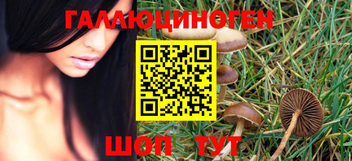 Галлюциногенные грибы MAGIC MUSHROOMS Туймазы